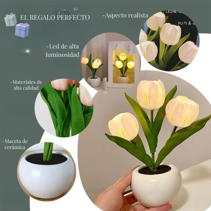 Lampara de Tulipanes